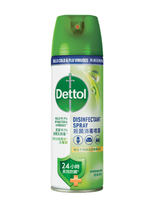 Dettol Disinfectant Spray Morning Dew