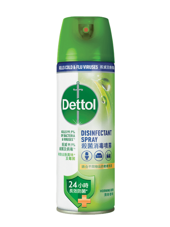 Dettol Disinfectant Spray Morning Dew